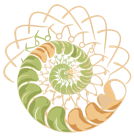 Logo Ecophora – médecine symbolique et harmonisation des lieux de vie.